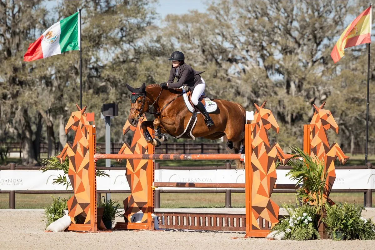 Scarlett Wallis riding Samurai to second in the 1.40m Junior/Amateur Jumper Classic at TerraNova