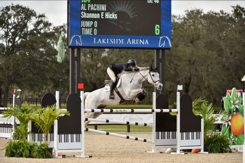 Shannon Hicks riding Al Pachini to win the $10,000 1.40m Welcome Stake at the Sarasota Winter Classic at TerraNova