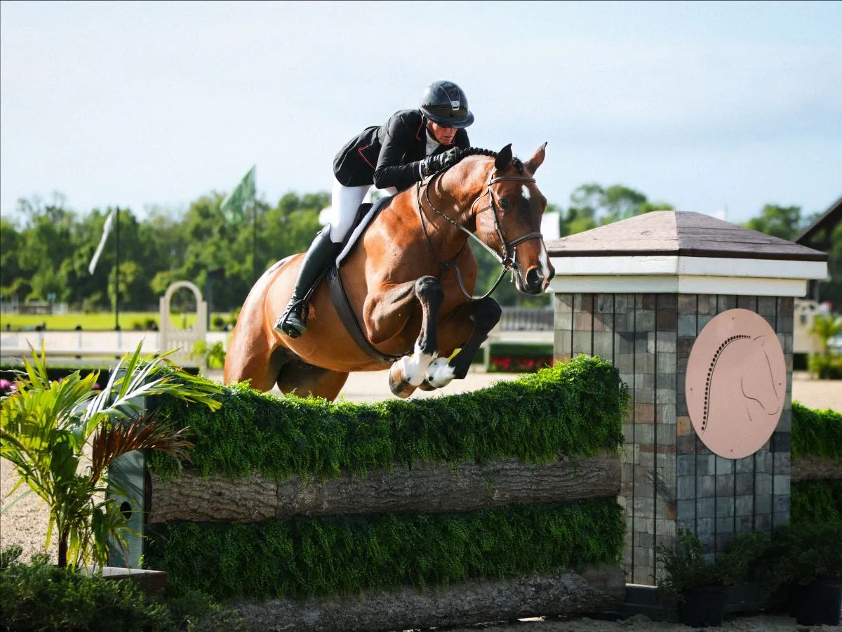 Shannon E. Hicks riding Lucio to win the $5,000 USHJA National Hunter Derby at TerraNova