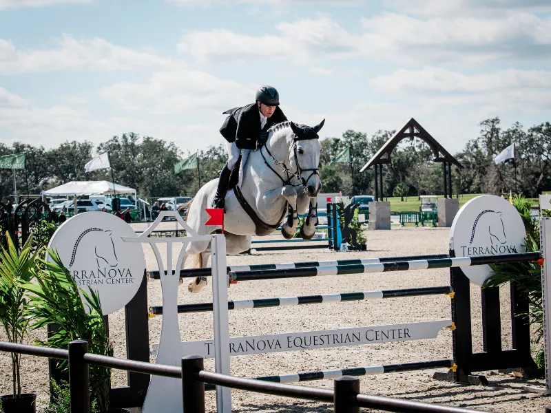 Sharn Wordley riding Mick Jagger in the $50,000 Grand Prix of Sarasota at TerraNova
