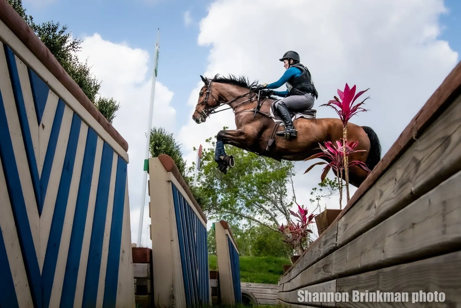 Sherry Pound (USA) and Carnaby- 31.4