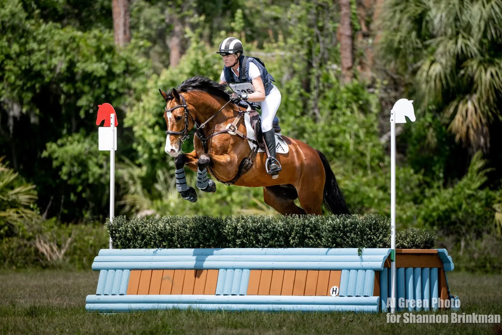 Sinead Maynard and Lightning V/Z- 21.1