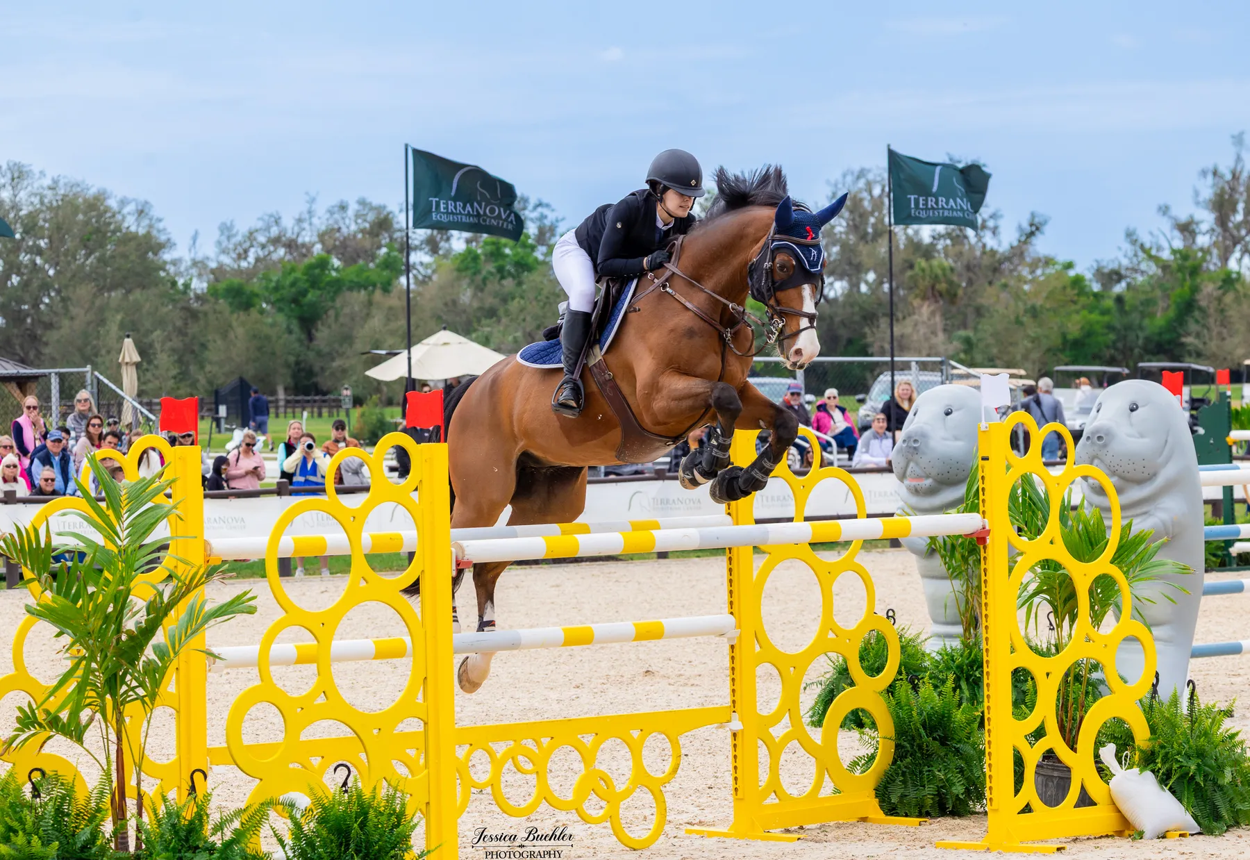 Stephanie Gallucci riding Calle 67 in the Everglades Equipment Group $65,500 1.45m FEI CSI2 Grand Prix