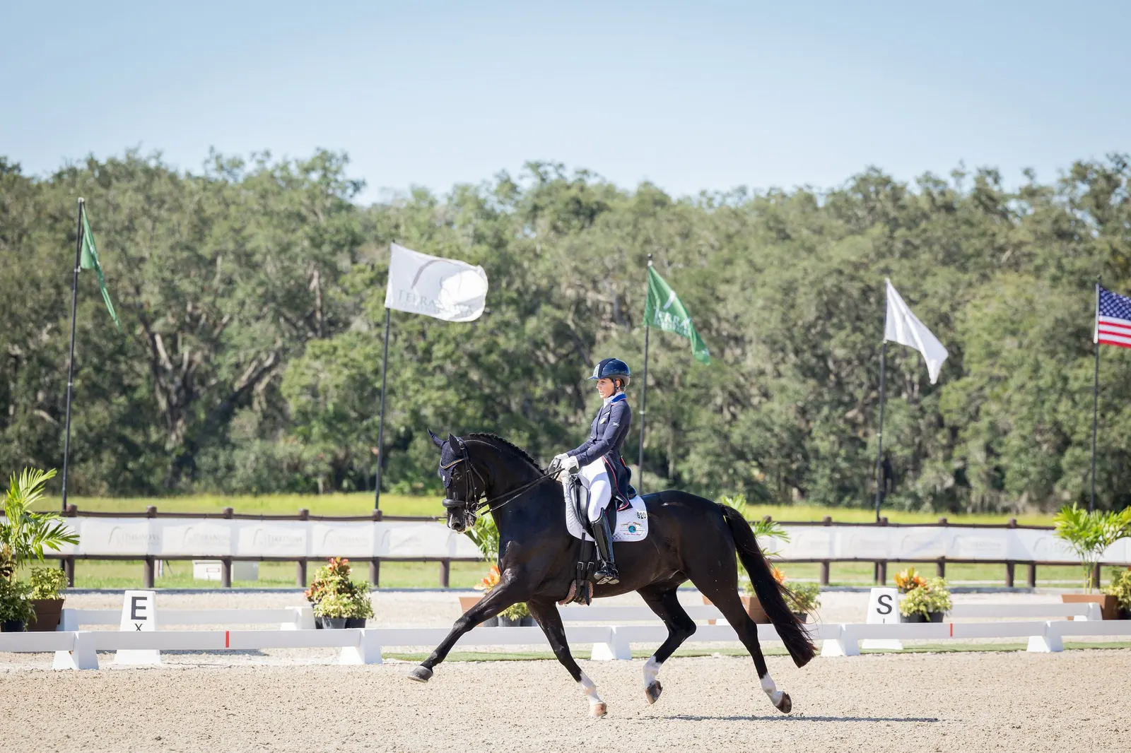 Susan Dutta riding the black horse Don Design DC in extended trot during the CDI-3* Grand Prix at TerraNova. Photo by EQ Media.