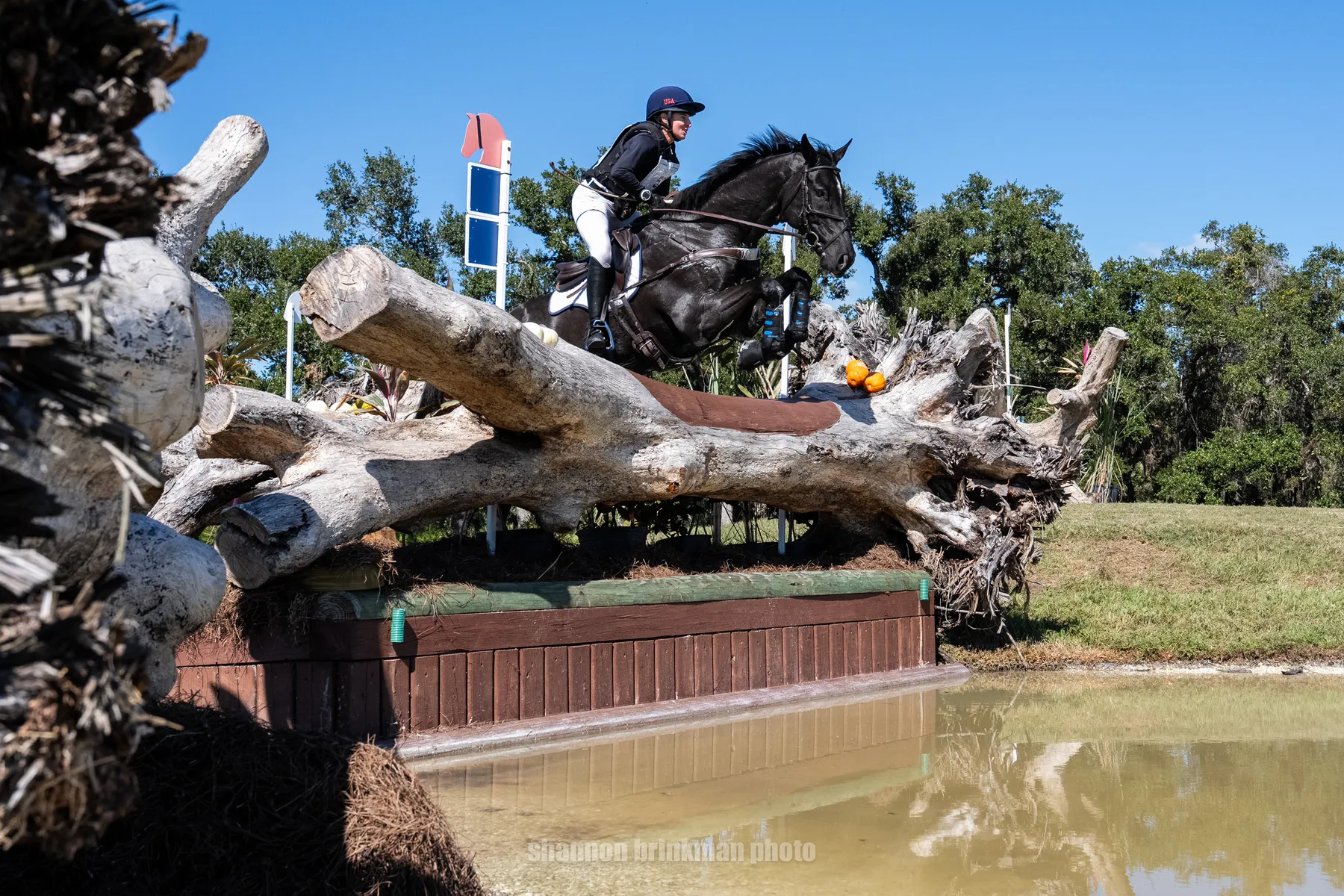 Sydney Elliott riding QC Diamantaire on a double-clear cross-country round to lead the CCI4*-L at The Event at TerraNova