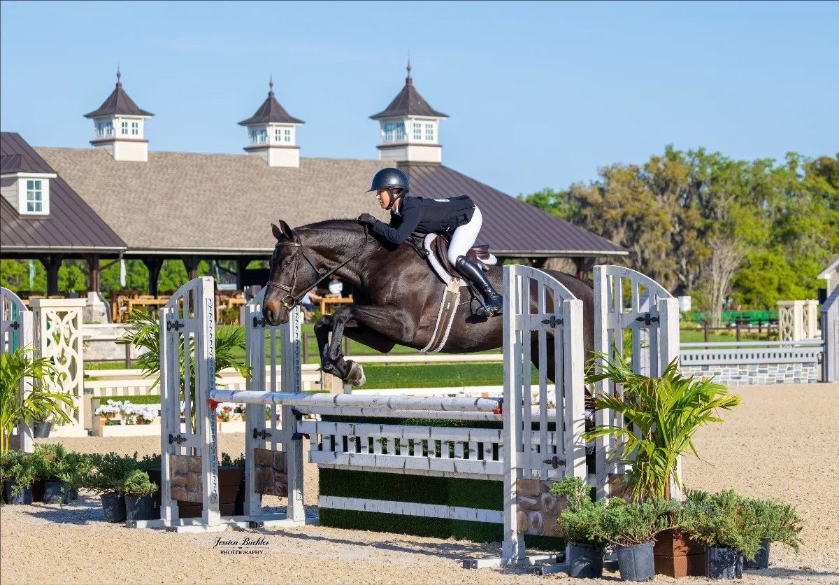 Taylor St. Jacques riding Jaipur to win the $5,000 USHJA National Hunter Derby at TerraNova