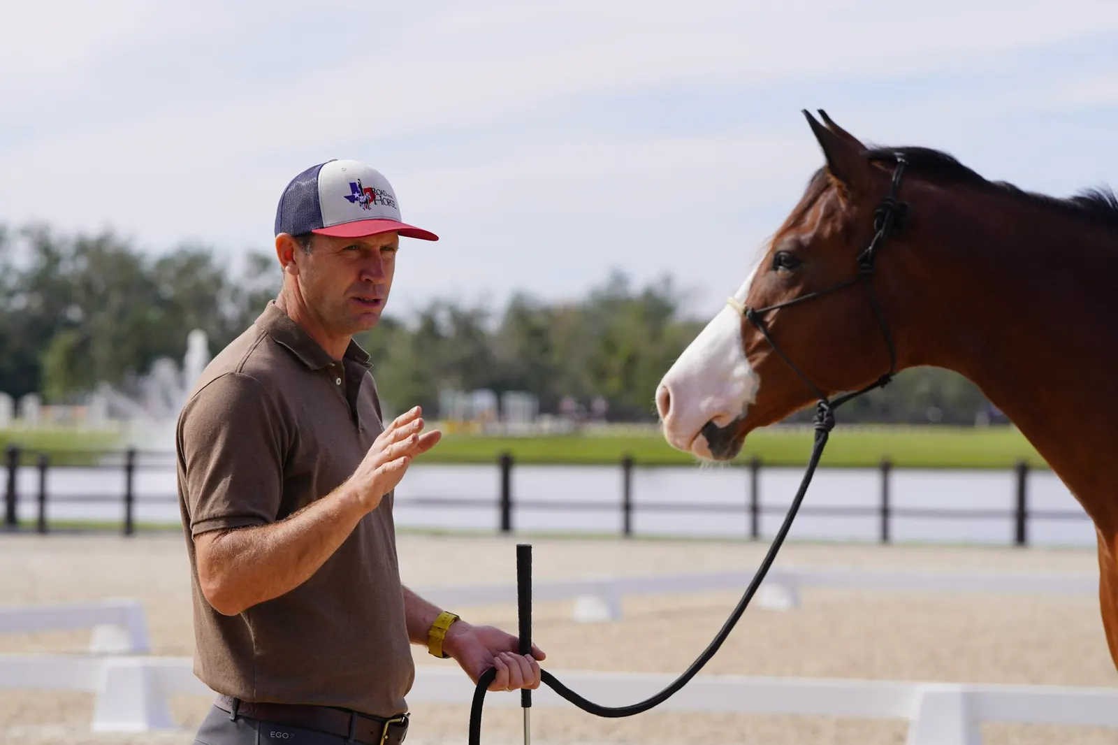 Horse and handler at TerraNova Equestrian Center