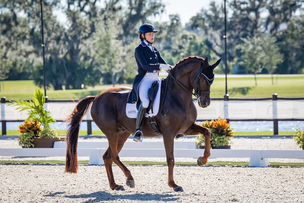 Dressage competition action at the 2023 TerraNova Dressage II CDI3*/CDI-W