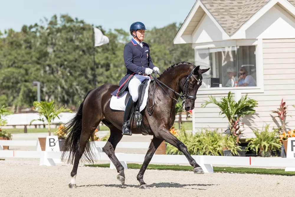 Dressage competition action at the 2023 TerraNova Dressage II CDI3*/CDI-W