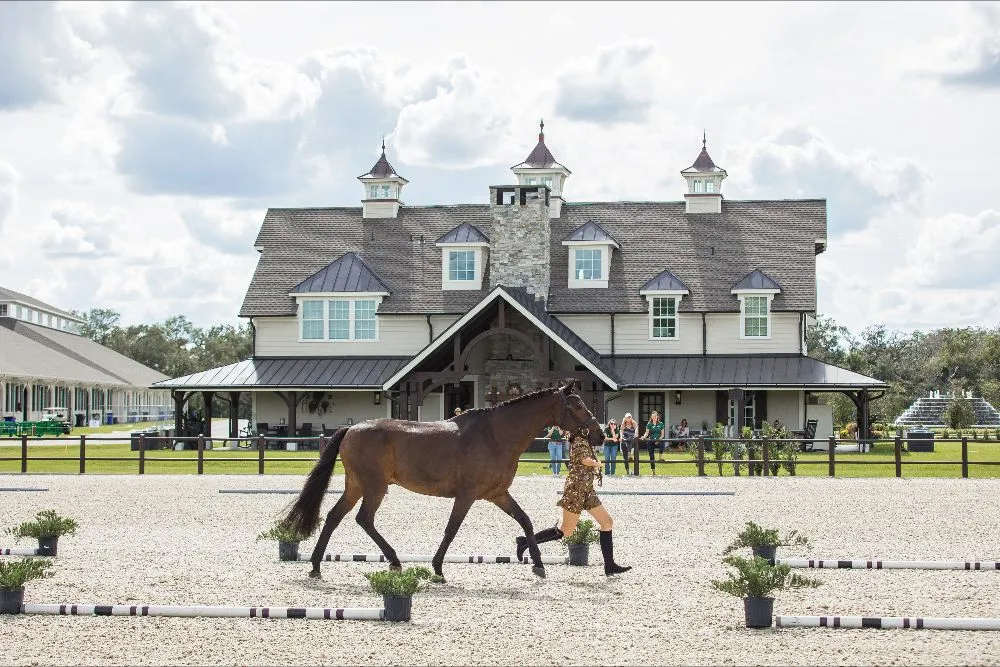 Fourteen FEI horses jogged for the judges in front of the TerraNova Equestrian Center show office at the 2023 TerraNova Dressage II CDI3*/CDI-W