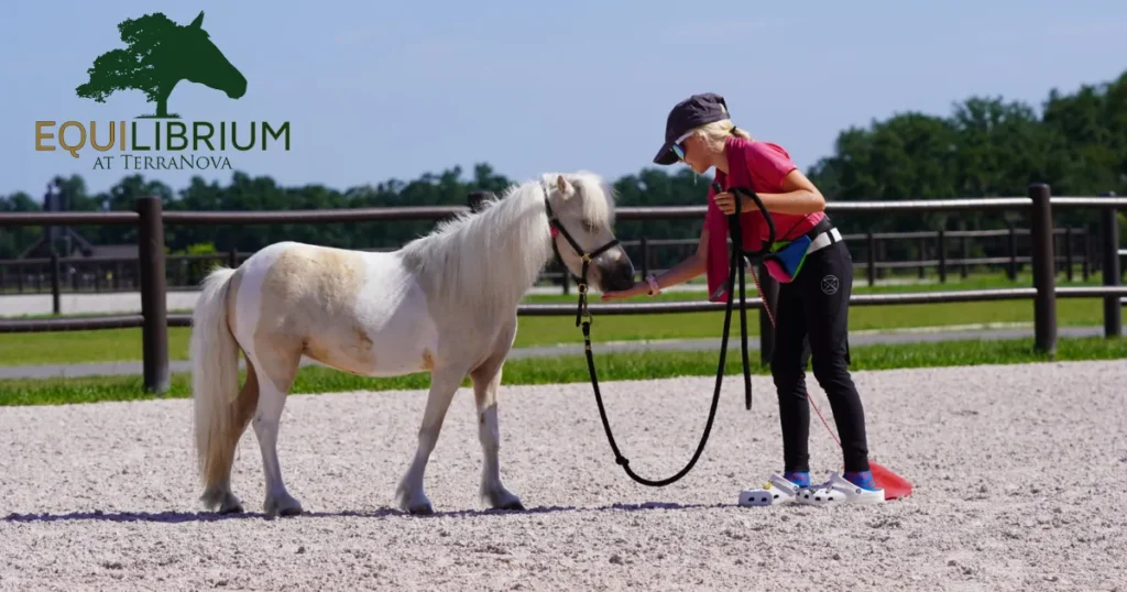 TerraNova Equilibrium program announcement graphic for community wellness through horses