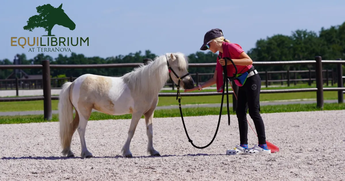 TerraNova Equilibrium program announcement graphic for community wellness through horses