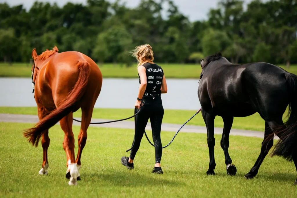 Horses grazing at The Event at TerraNova, photo by EQ Media