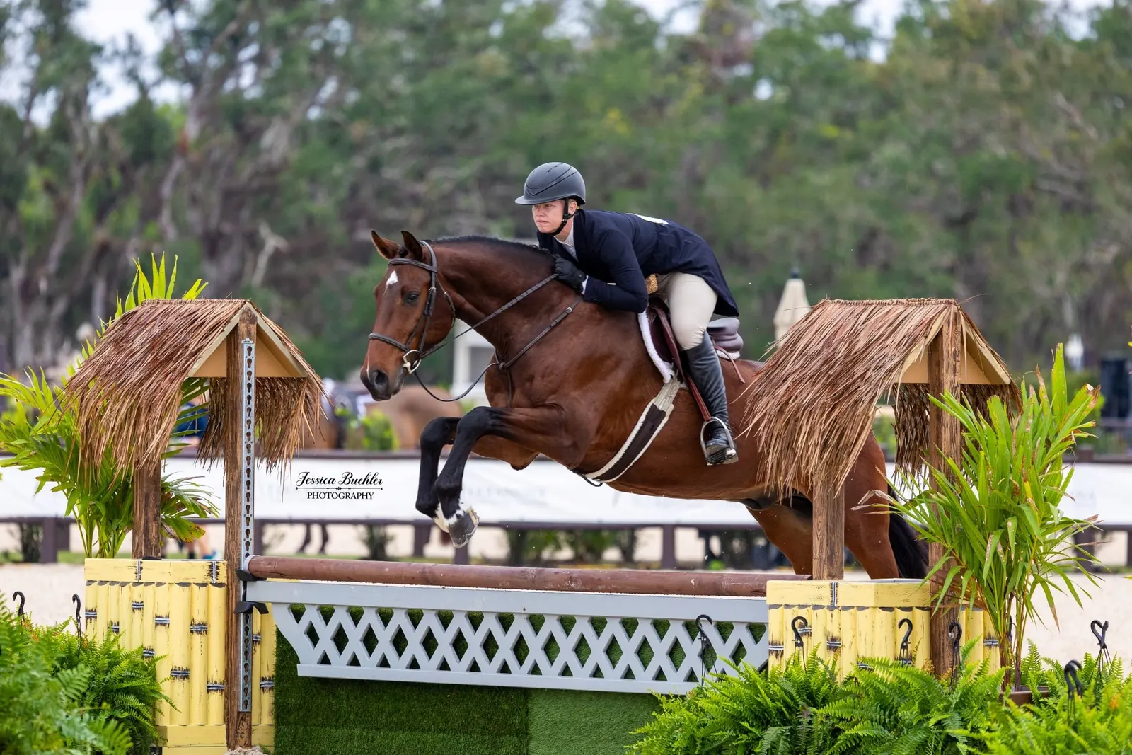 Hunter derby competition in the grass arena at TerraNova Equestrian Center