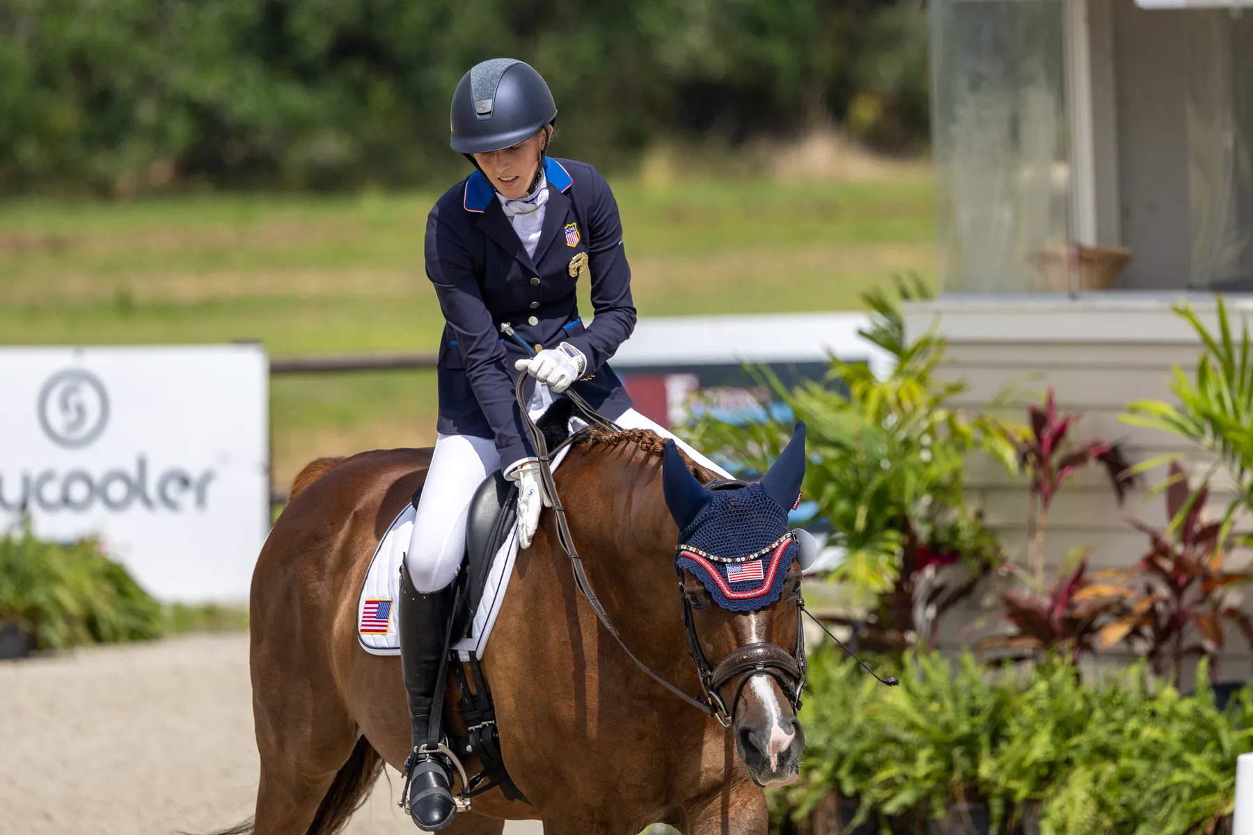 Dressage competition action at the TerraNova May CDI and CPEDI