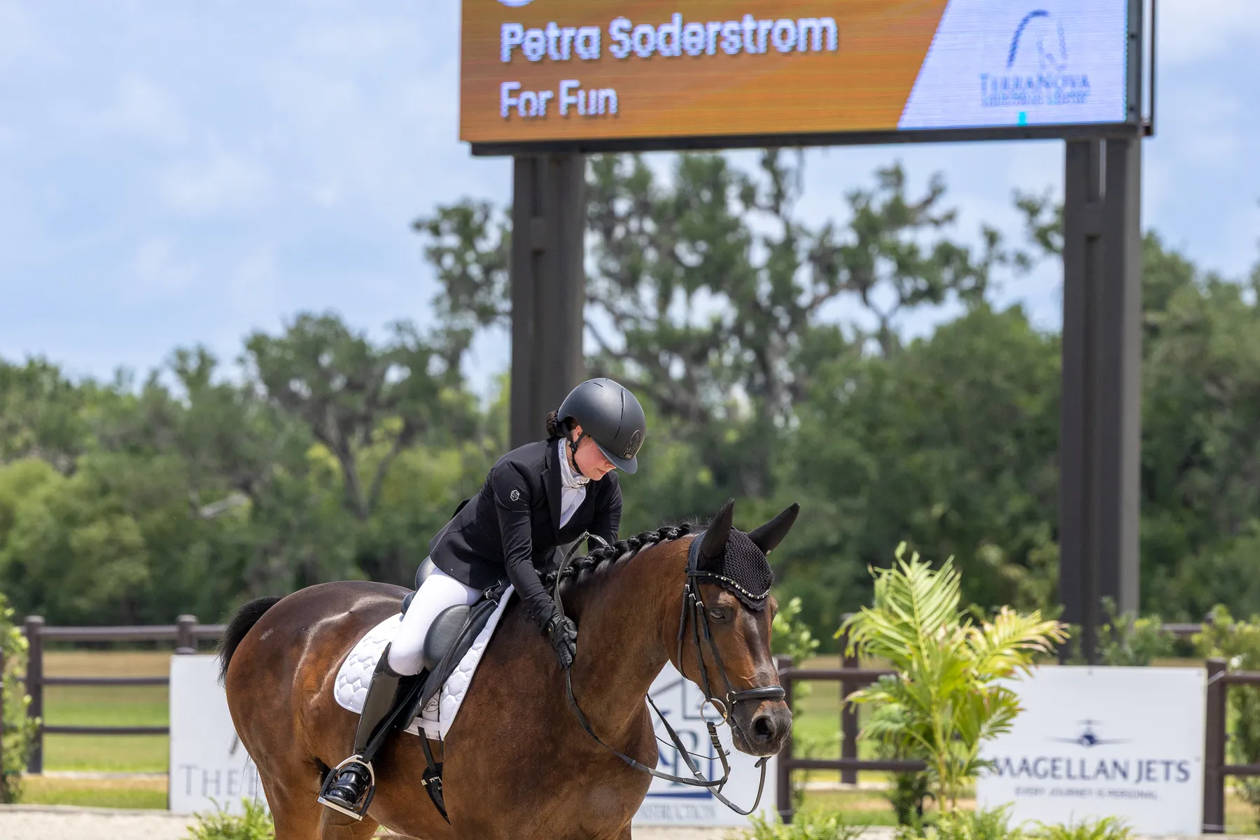 Dressage competition action at the TerraNova May CDI and CPEDI