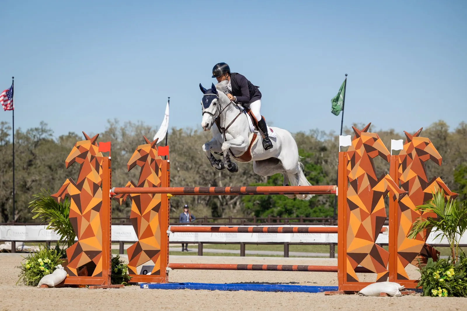 Horse and rider clearing a jump during Grand Prix show jumping competition at the TerraNova Winter Series. Photo by EQ Media.