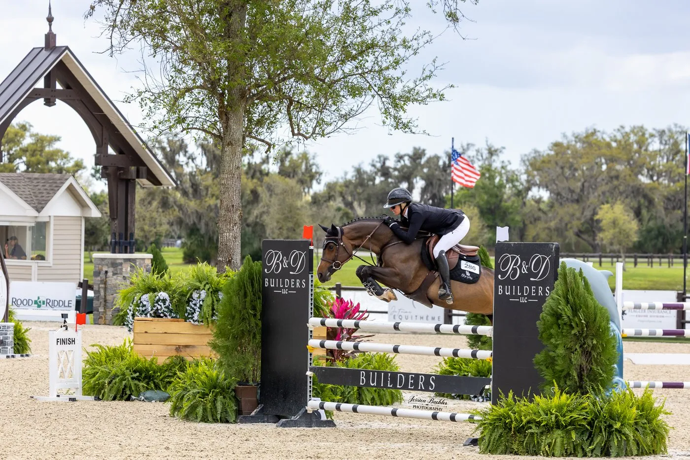 Hunter/jumper competition action at the 2026 TerraNova Winter Series