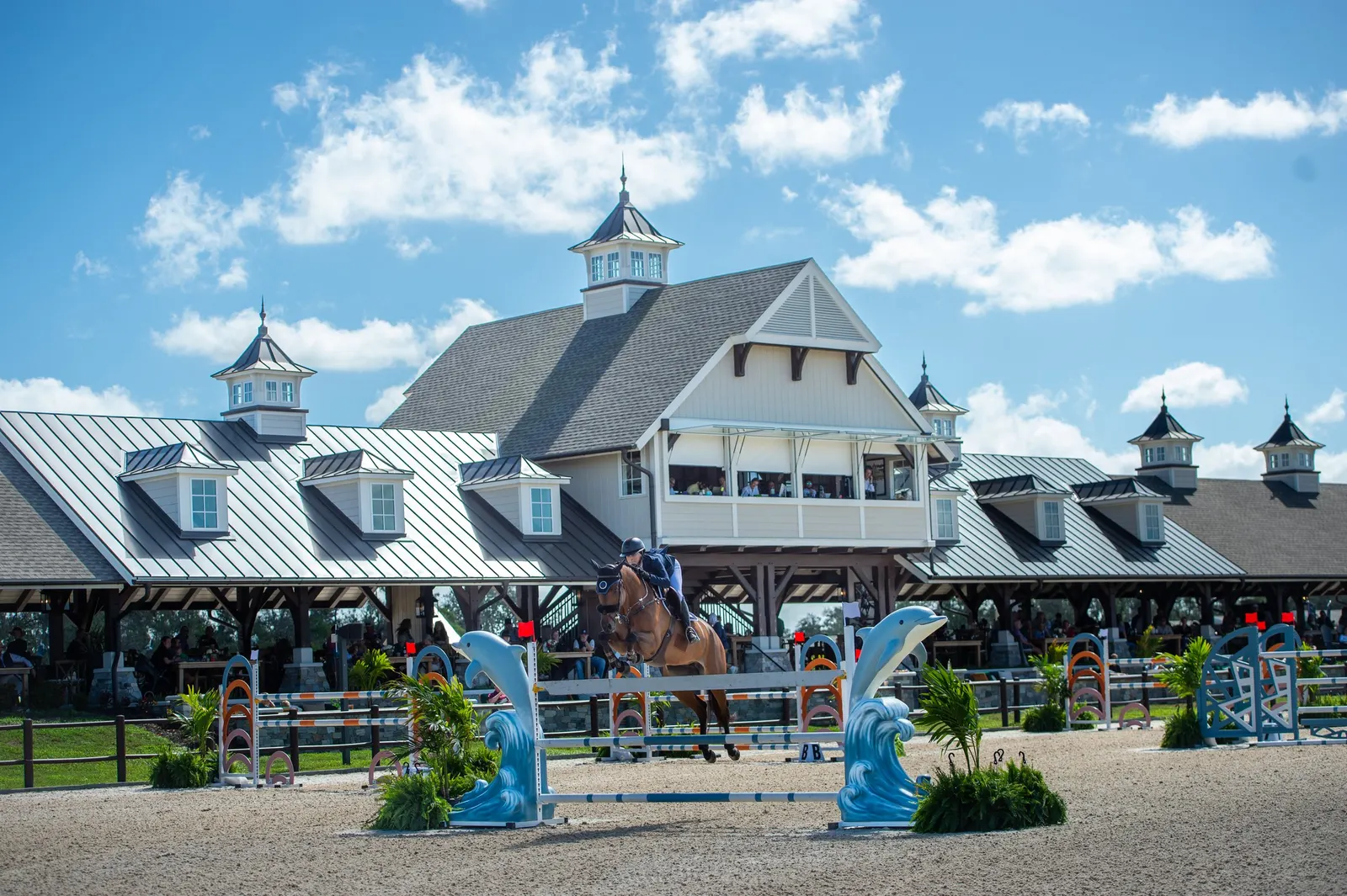 Horse and rider competing at the TerraNova Winter Series hunter/jumper circuit