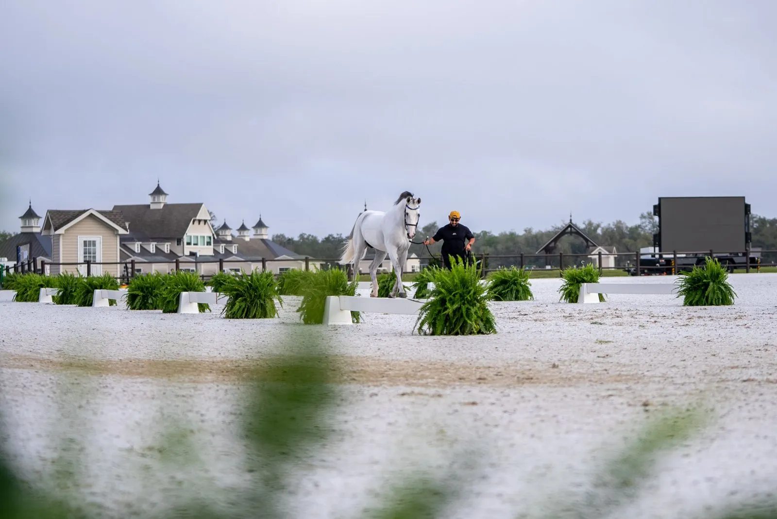 Hunter/jumper competition action at the 2026 TerraNova Winter Series