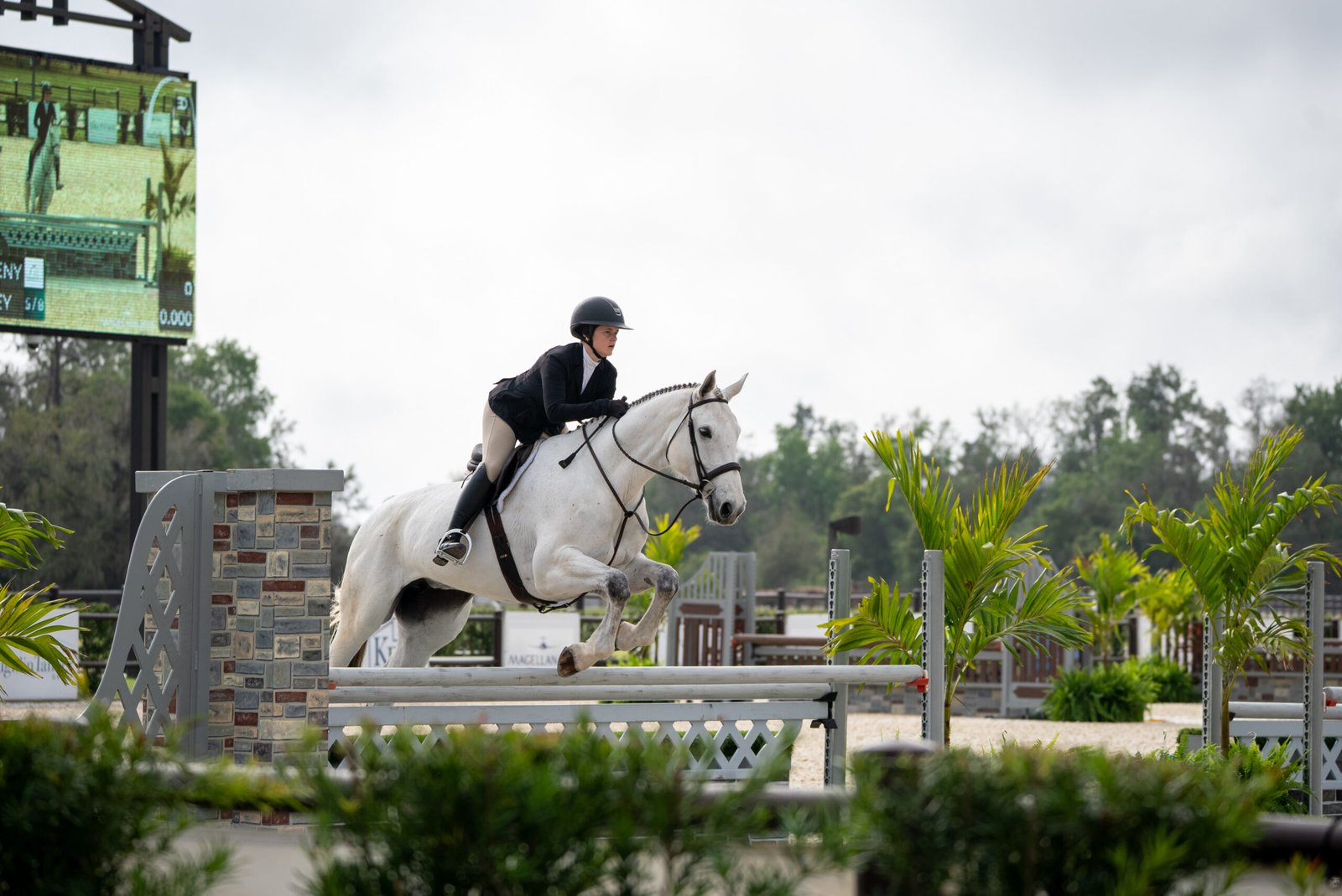 Hunter/jumper competition action at the 2026 TerraNova Winter Series