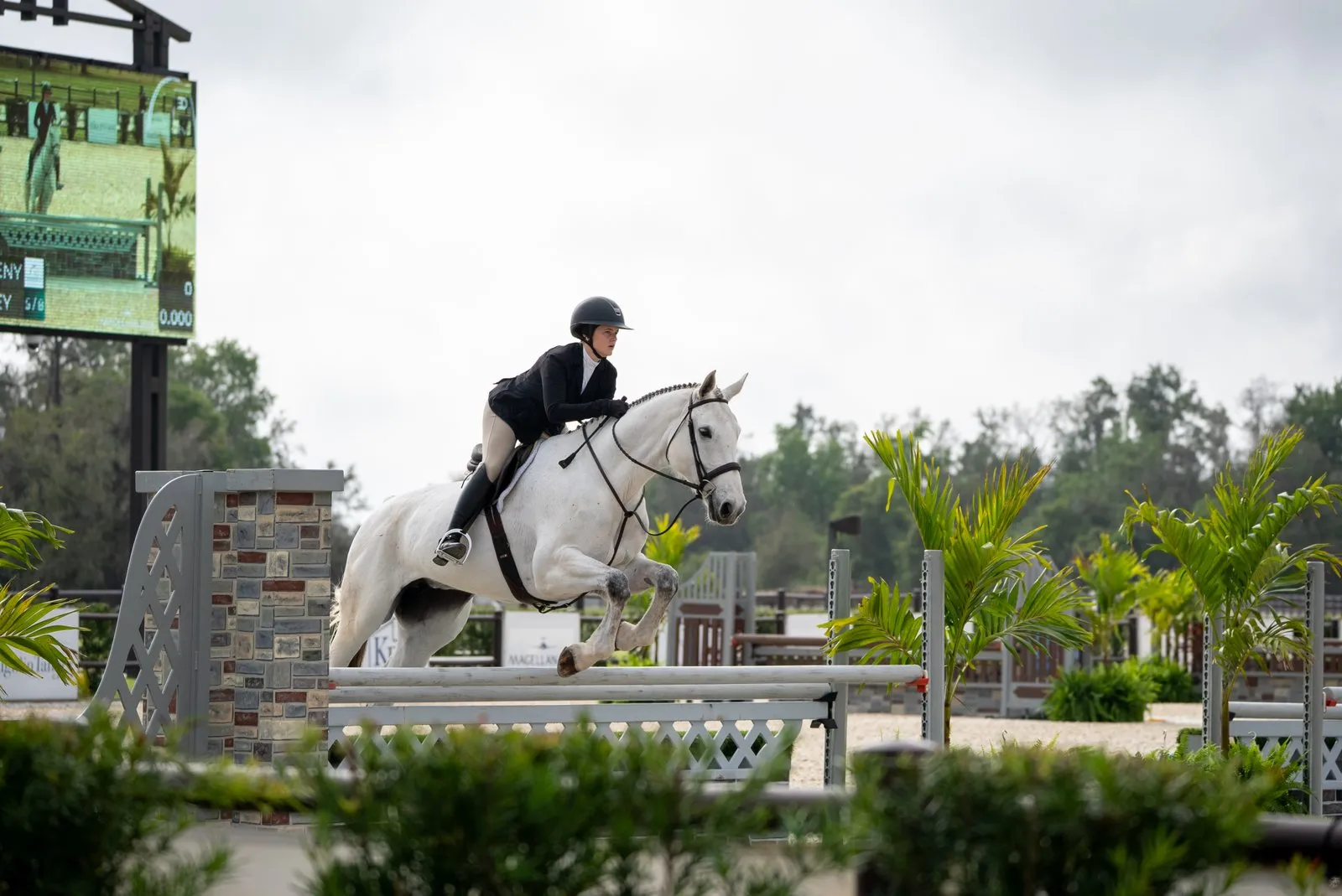 Hunter/jumper competition action at the 2026 TerraNova Winter Series