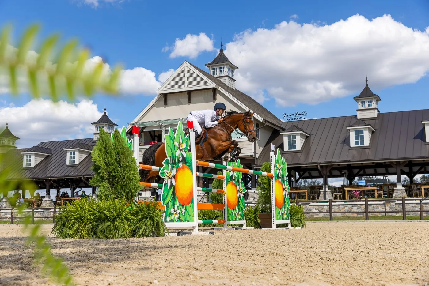 Hunter/jumper competition action at the 2026 TerraNova Winter Series