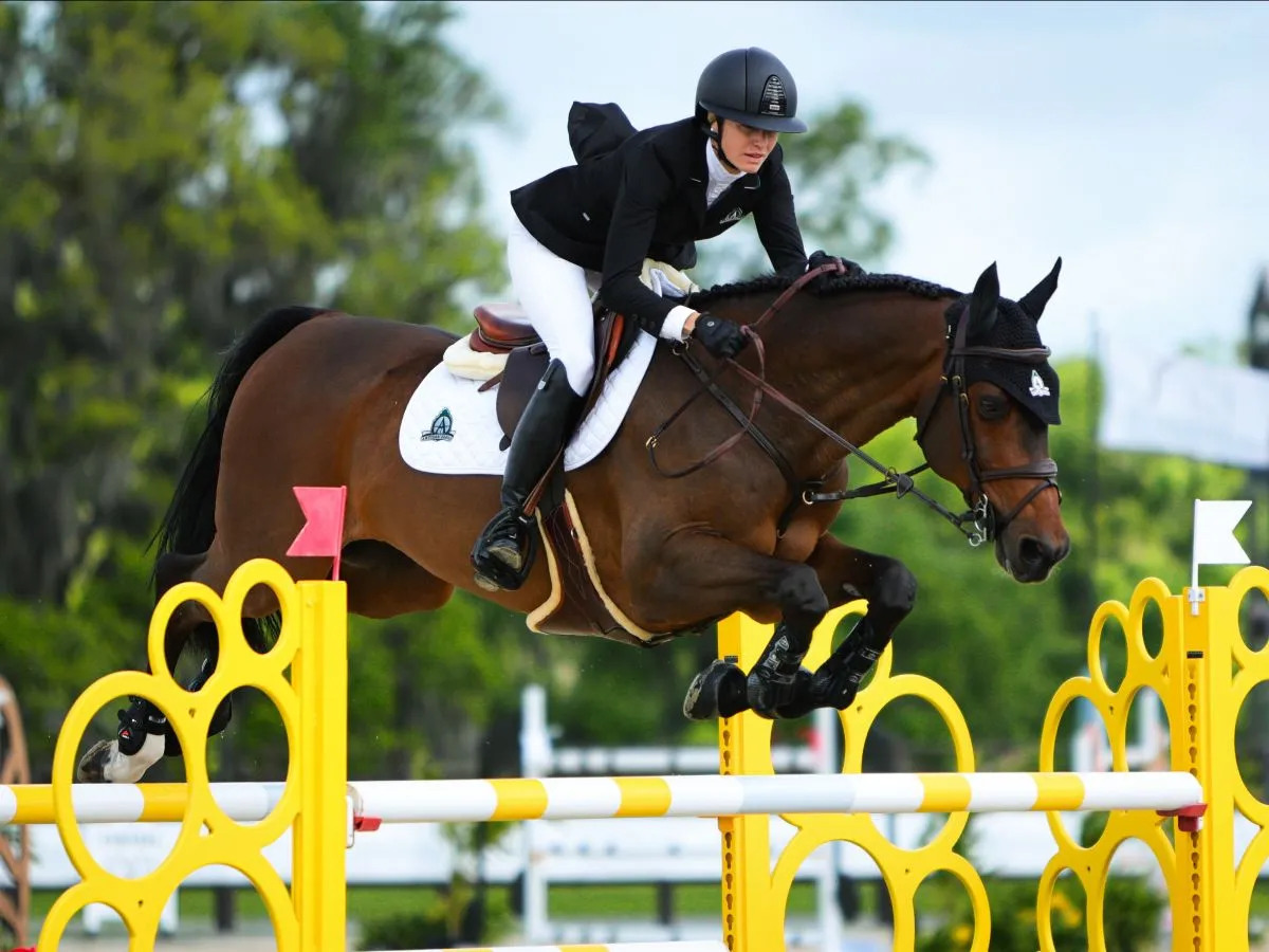 Tiffany Foster riding Brighton to win the $97,500 The Estates at TerraNova FEI 1.45m 2* Grand Prix at TerraNova Winter Series IV