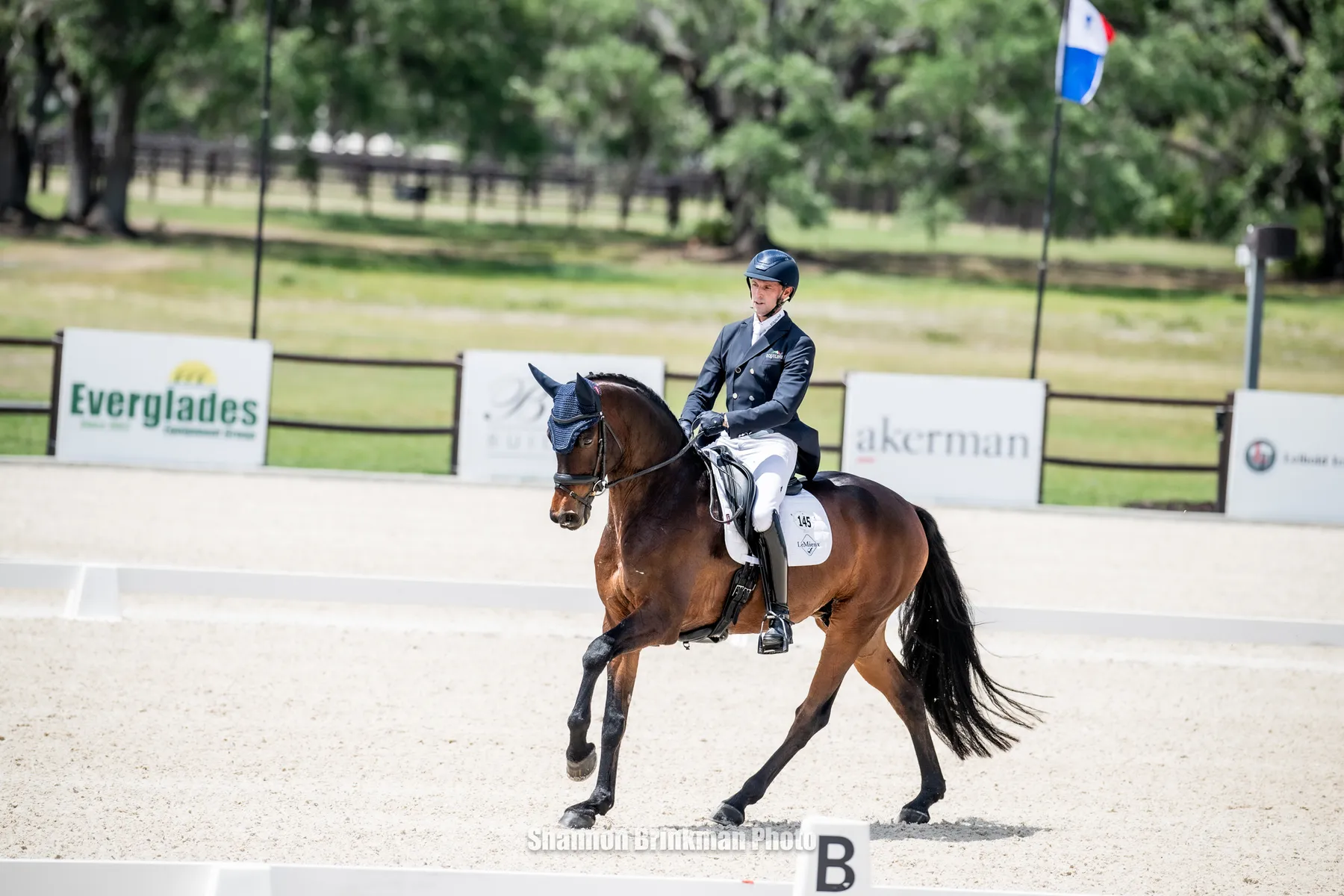 Will Coleman riding Chin Tonic HS to the CCI3*-S dressage lead at The Event at TerraNova