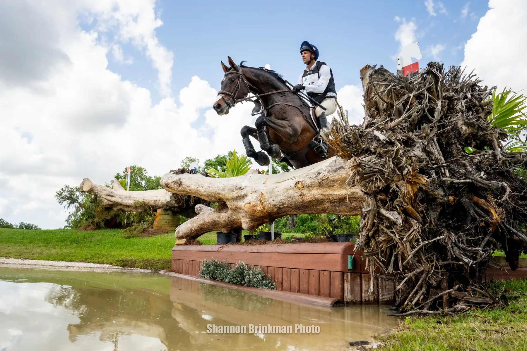 Will Coleman riding Chin Tonic HS to win the CCI3*-S at The Event at TerraNova