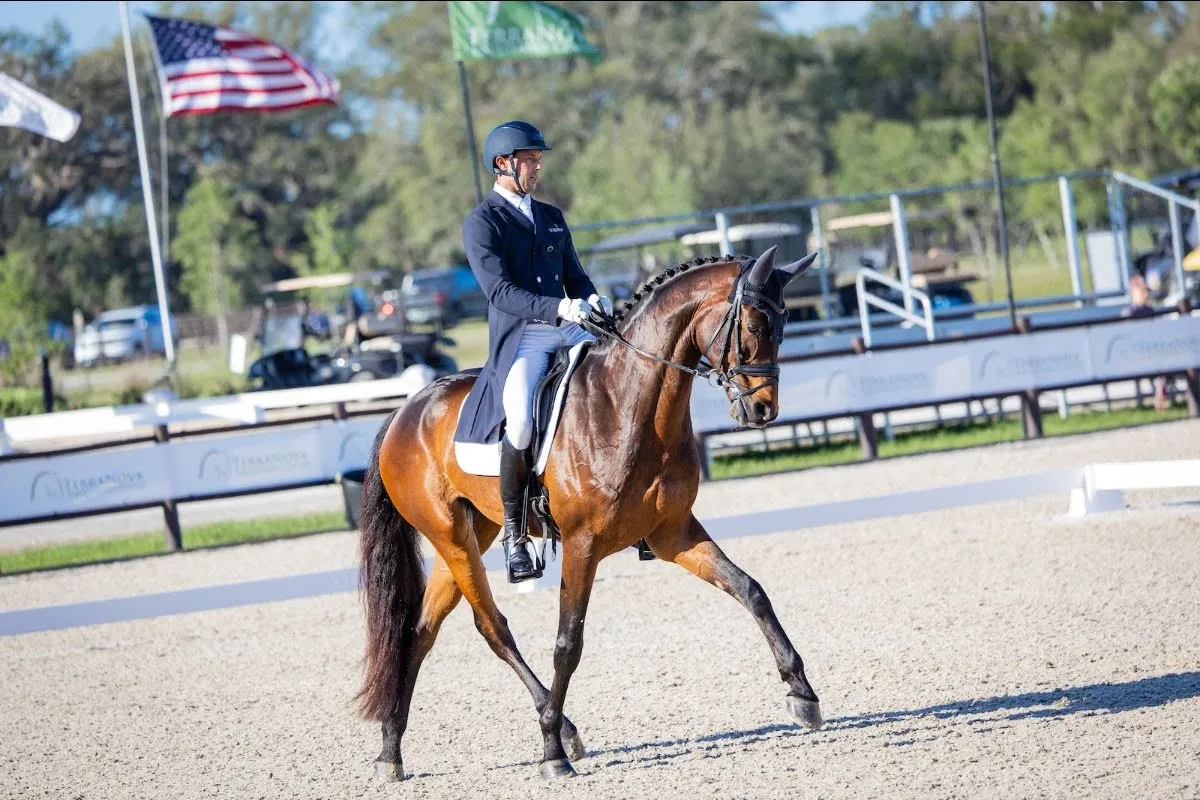 Will Coleman riding Chin Tonic HS in dressage at The Estates at TerraNova CCI4*-S