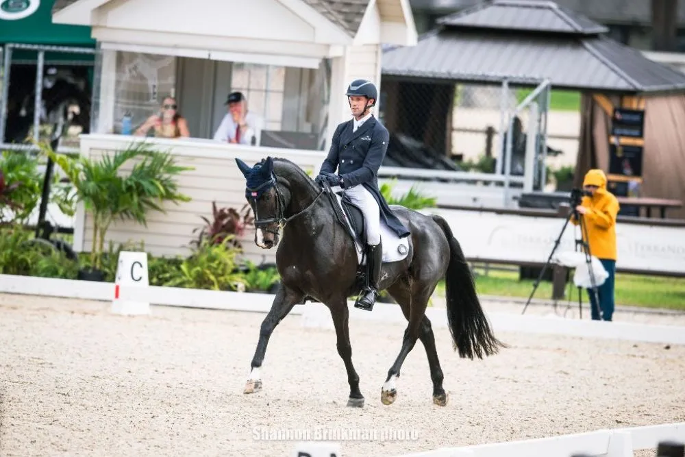 William Coleman riding Diabolo in the Galati Yacht Sales CCI4*-L dressage at TerraNova