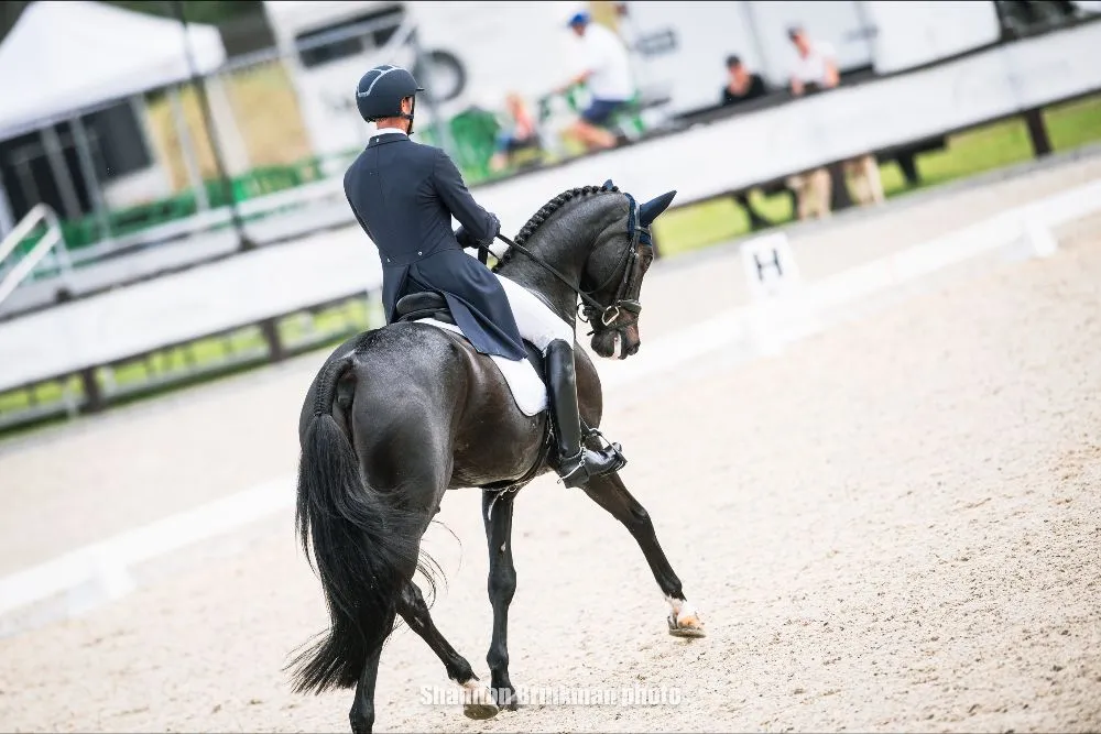 William Coleman riding Diabolo in the Galati Yacht Sales CCI4*-L at TerraNova