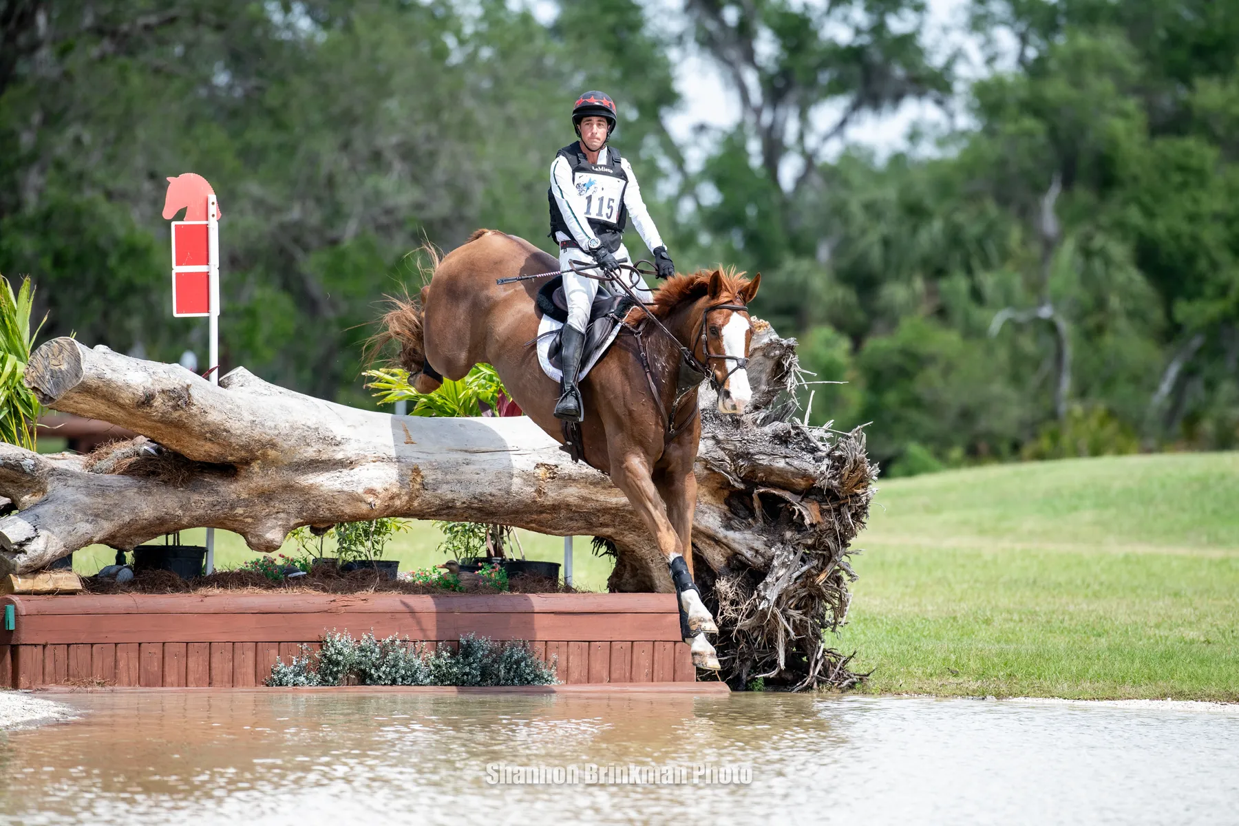 Zachary Brandt riding Direct Advance to third in the CCI3*-S at The Event at TerraNova