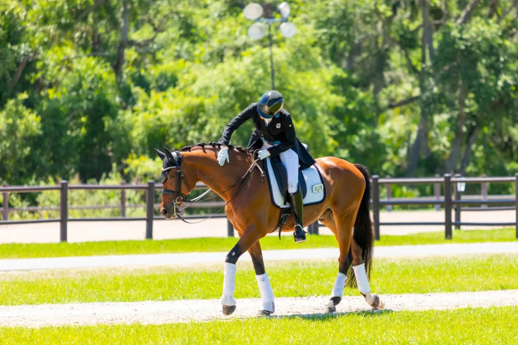 Dressage rider patting her horse after a test at TerraNova Equestrian Center