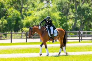 Dressage rider patting her horse after a test at TerraNova Equestrian Center