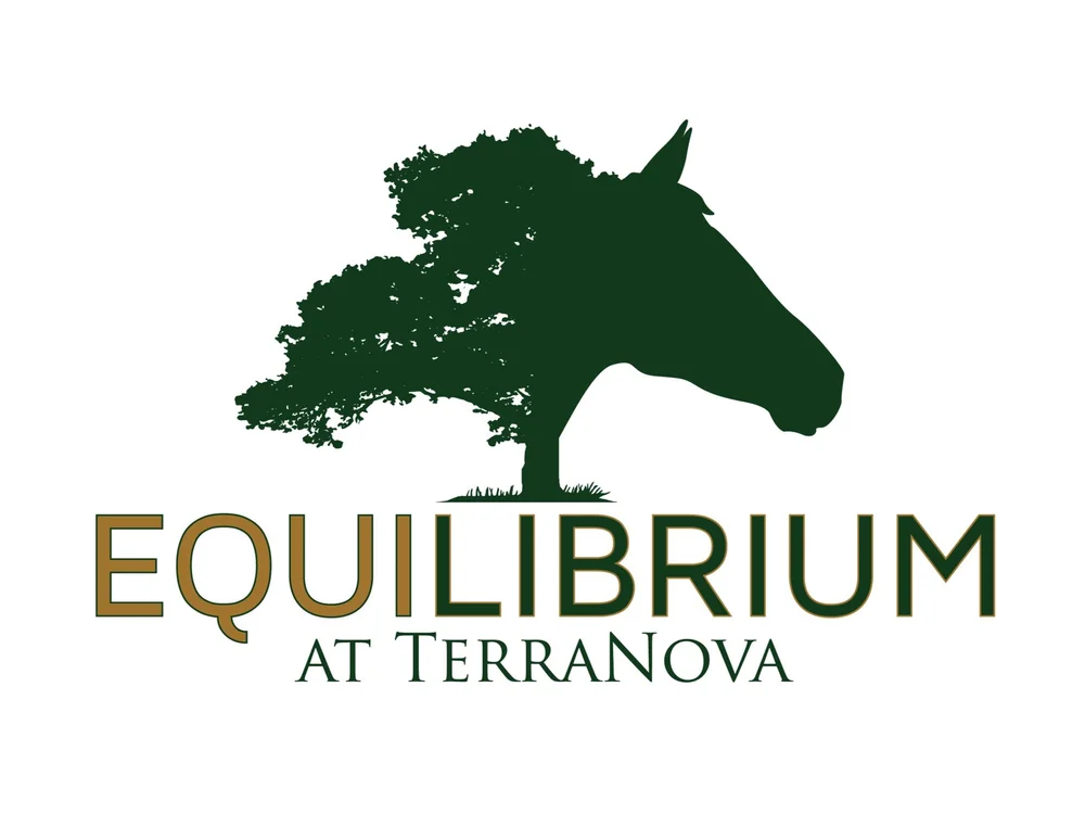 Equilibrium at TerraNova logo
