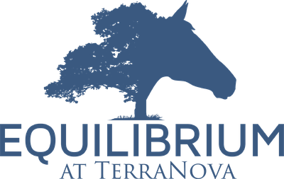 Equilibrium at TerraNova
