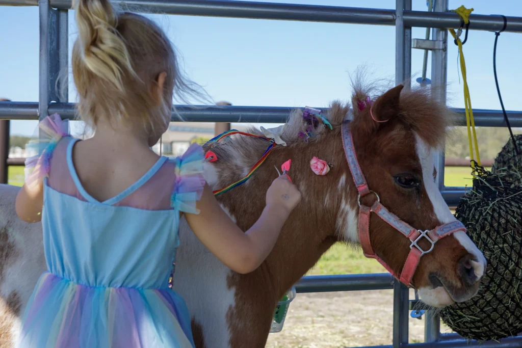 Miniature horse birthday party experience at TerraNova
