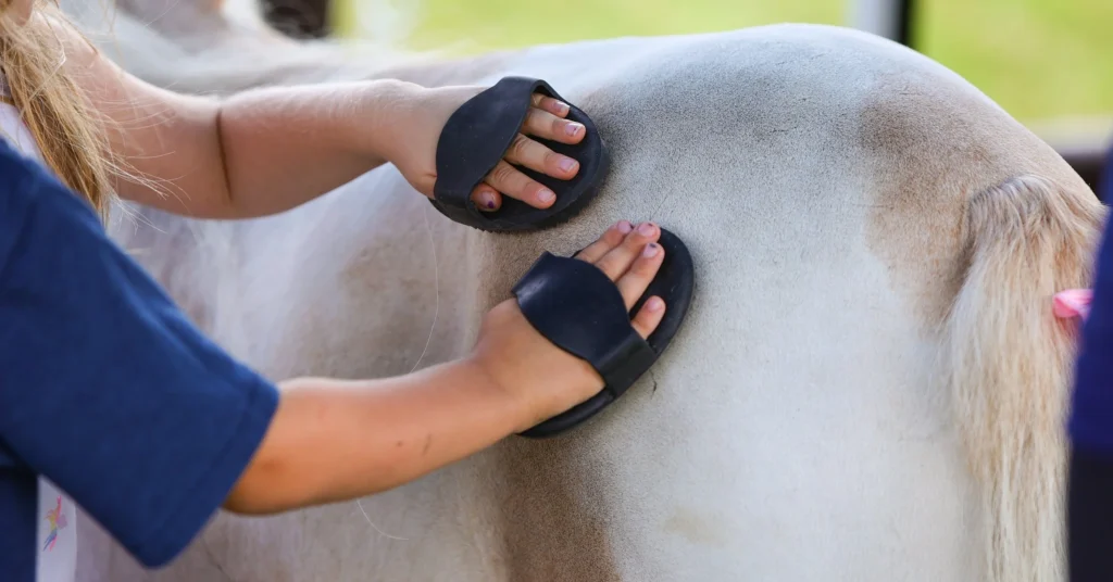 Children with miniature horses at a mini horsemanship camp
