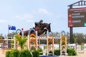 Amanda Derbyshire and J.Diago over a fence in the TerraNova Winter Series grand prix ring