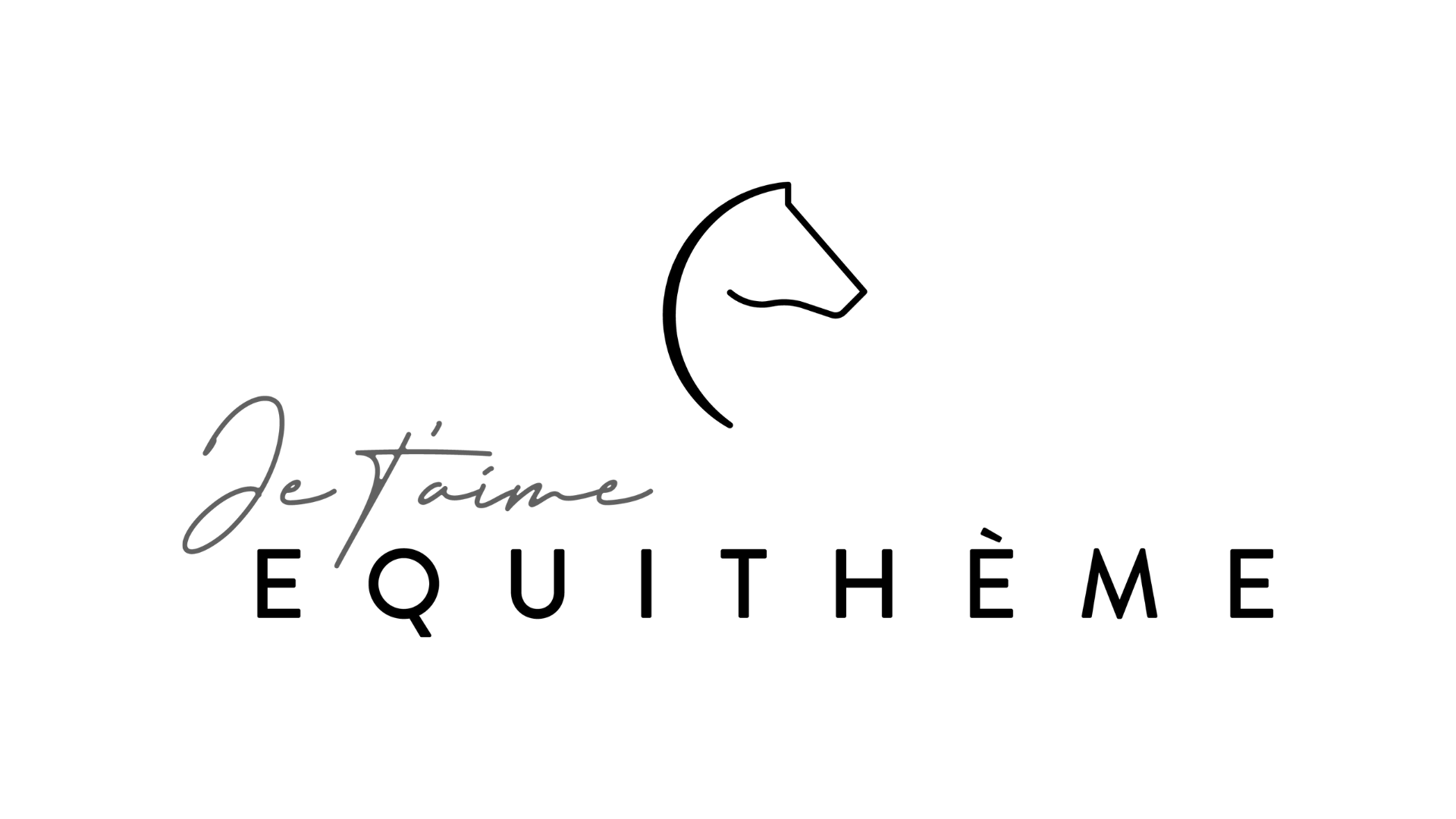 Equitheme