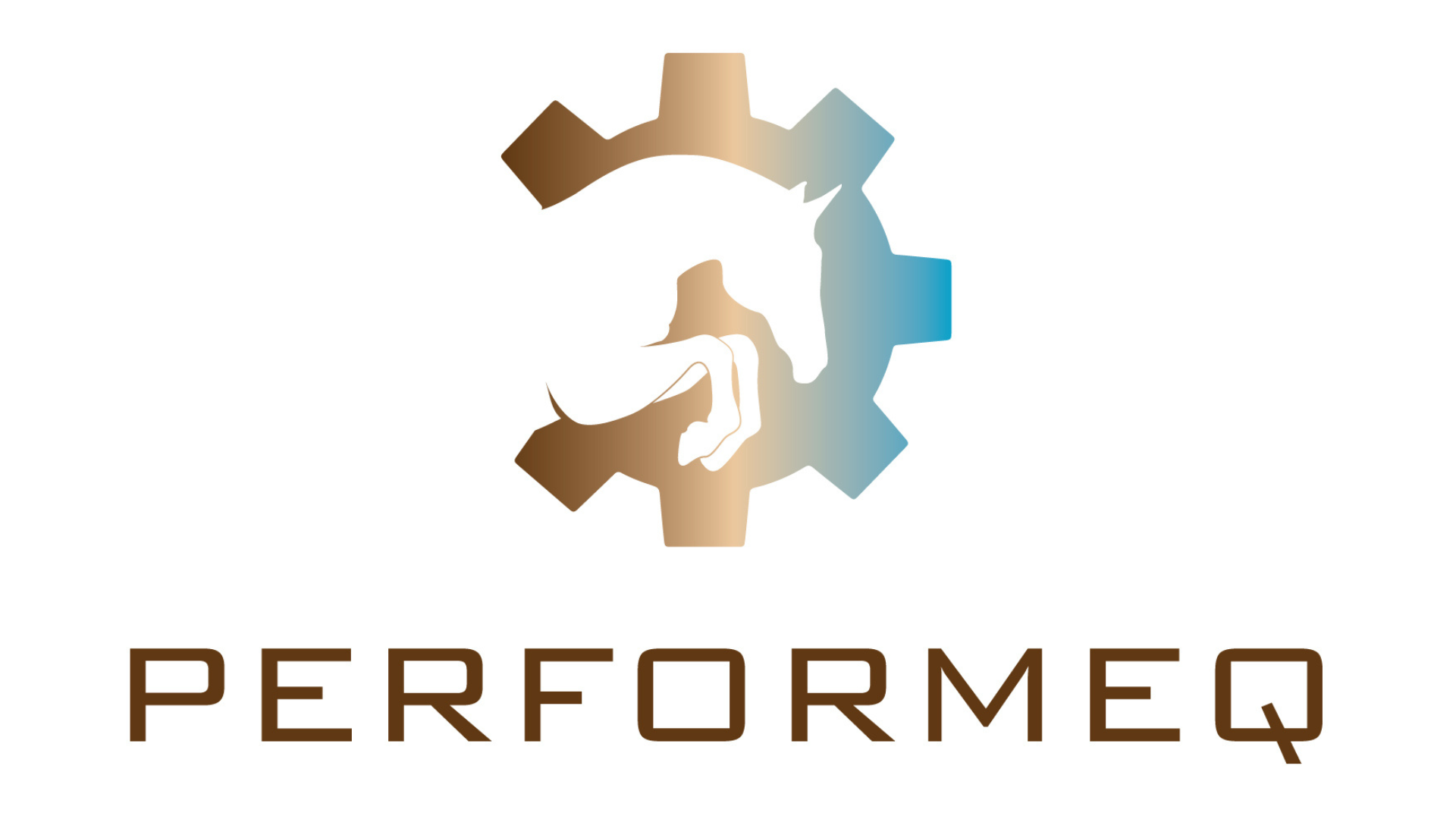 PerformEq