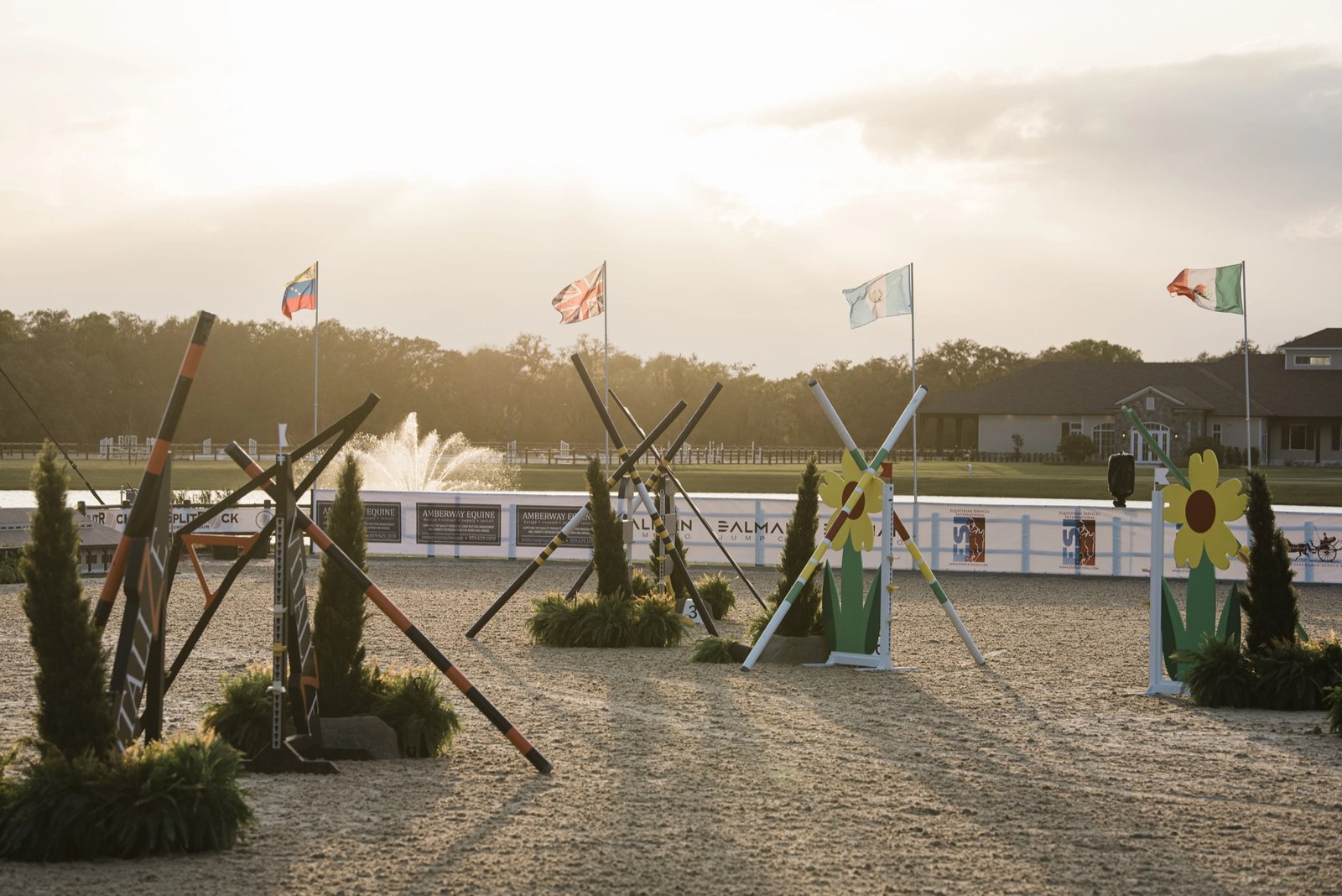 All-weather arena at sunset with international flags at TerraNova Equestrian Center
