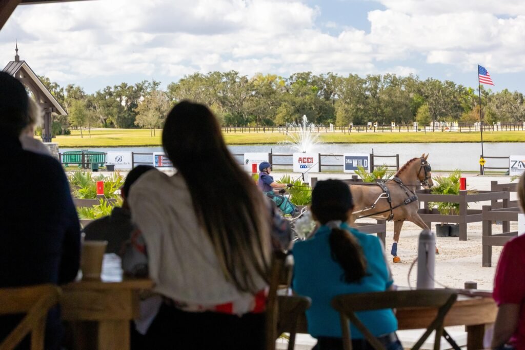 Spectators watching combined driving from VIP tables at TerraNova