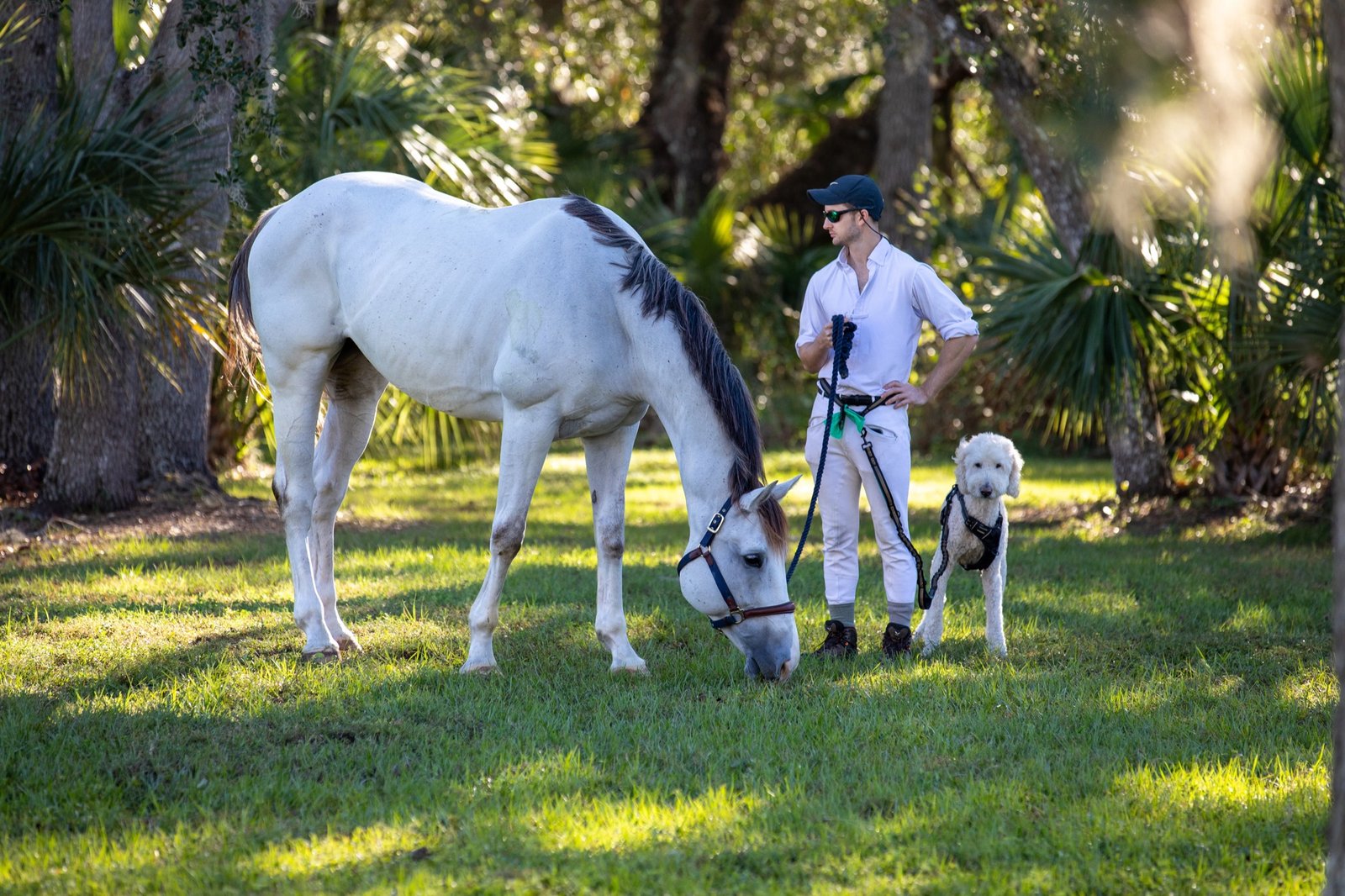 A competitor hand-grazes his horse under old-Florida oaks at TerraNova Equestrian Center