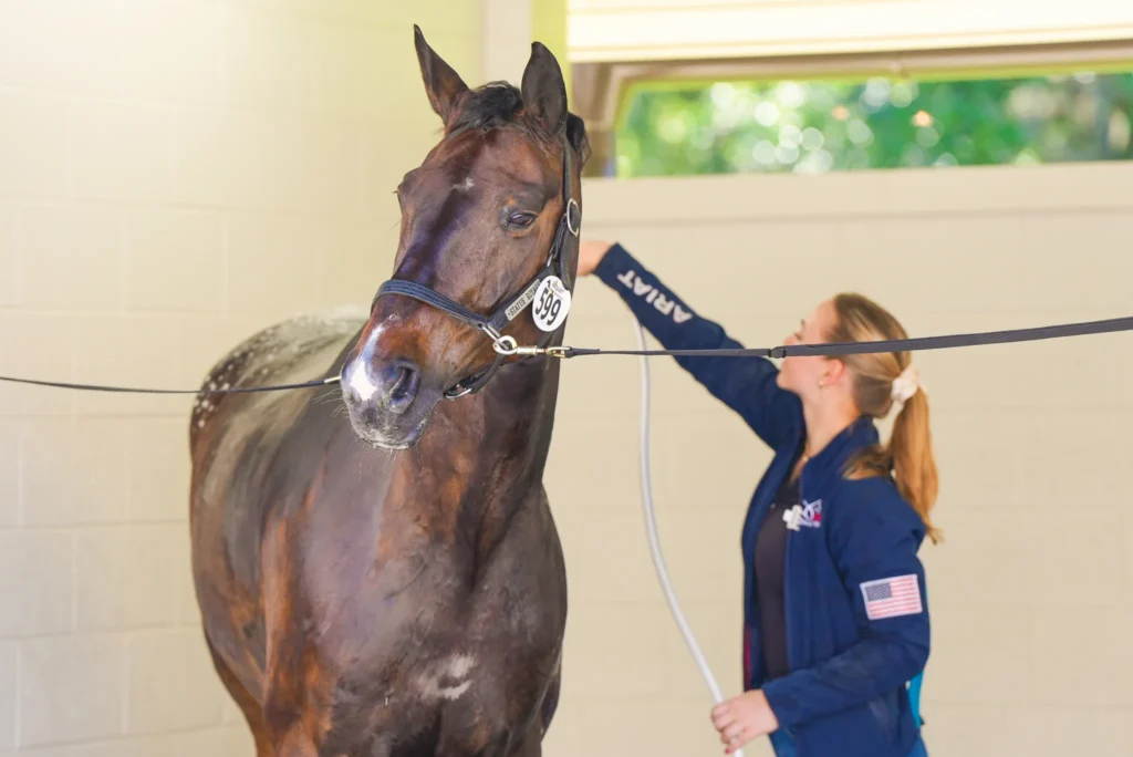 A competitor rinses her horse in a wash rack at the TerraNova competition stables