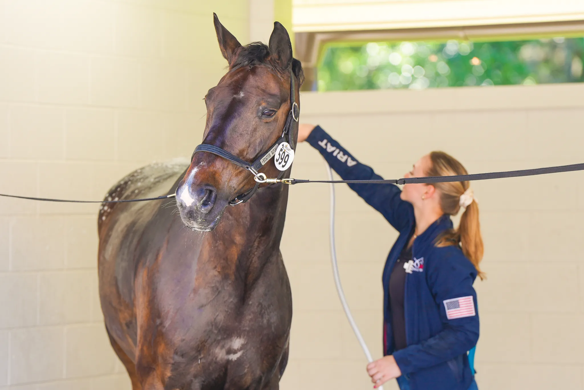 A competitor rinses her horse in a wash rack at the TerraNova competition stables