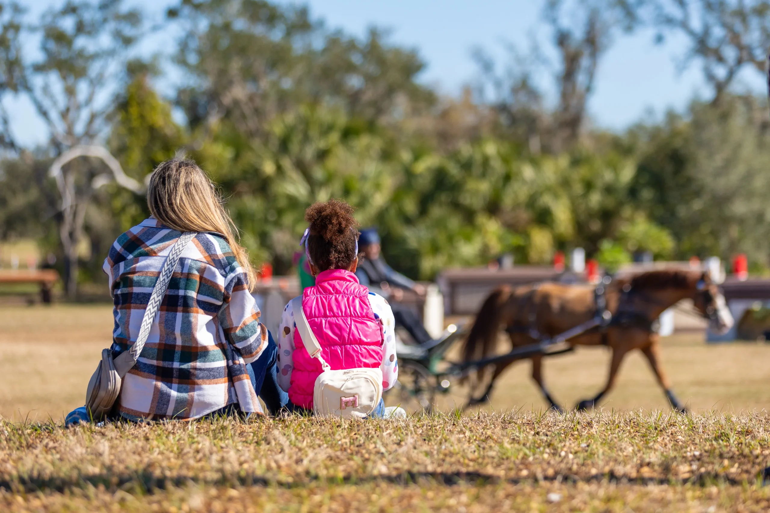 Spectators watching a combined driving competitor from the lawn at TerraNova Equestrian Center