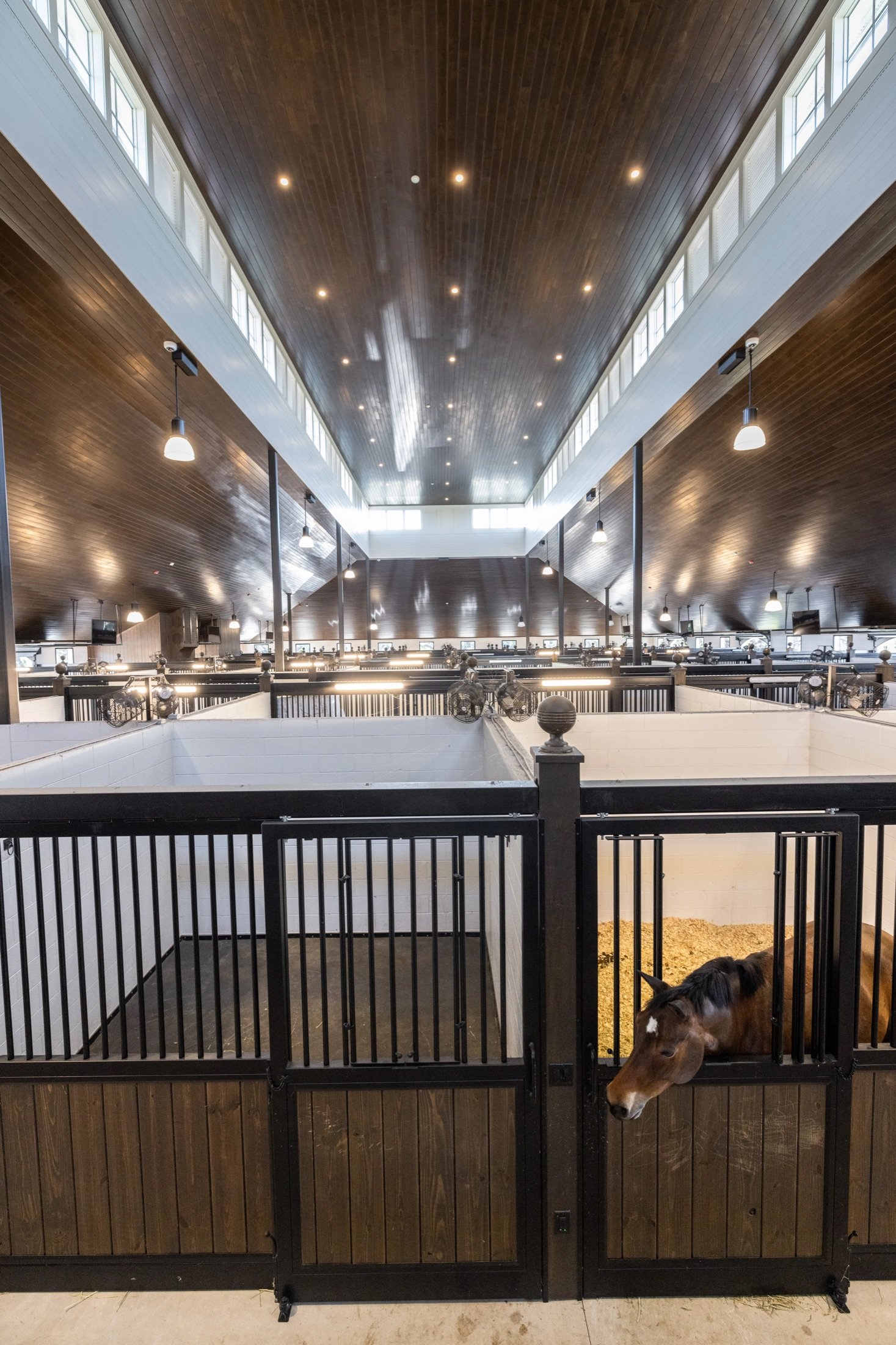 Luxury permanent stabling under skylights at TerraNova Equestrian Center
